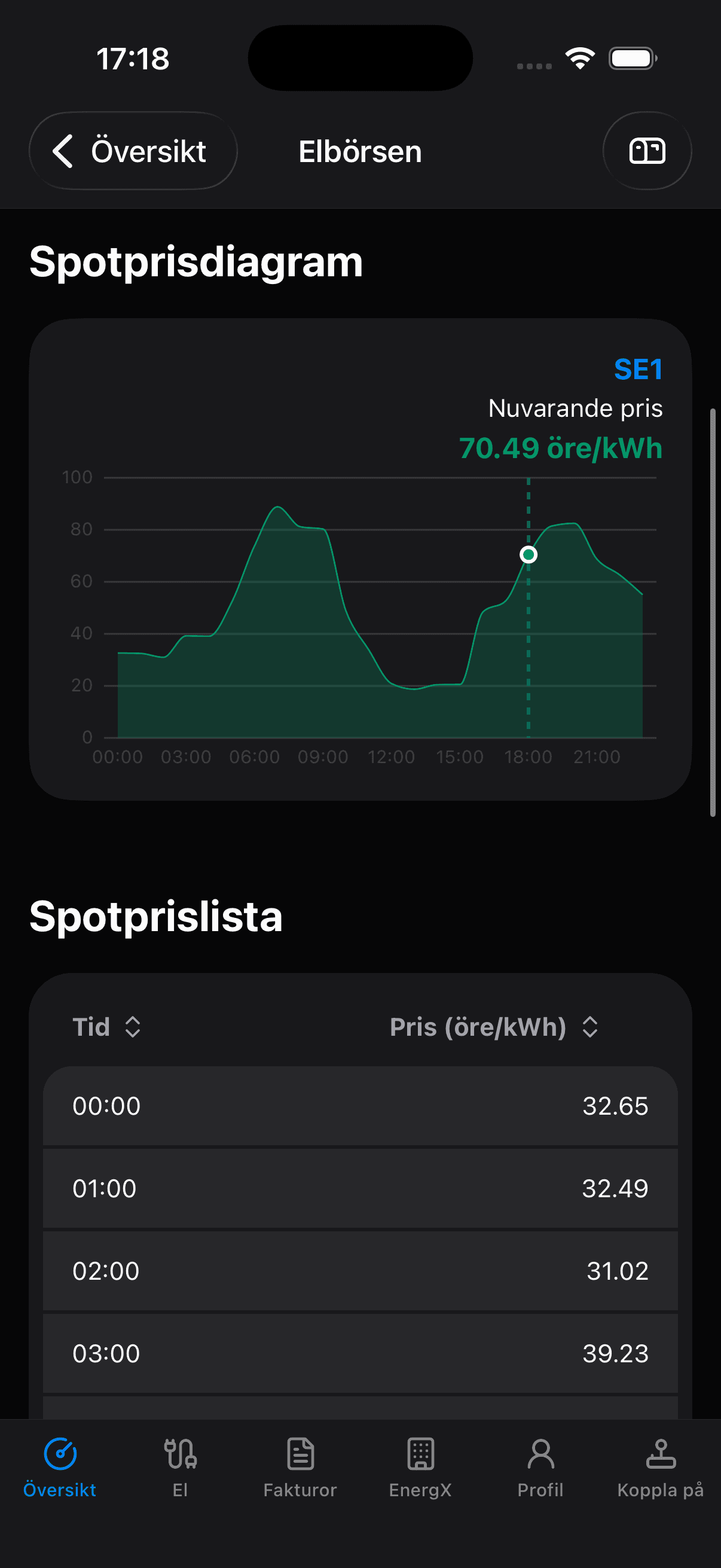 Energivisning Mockup